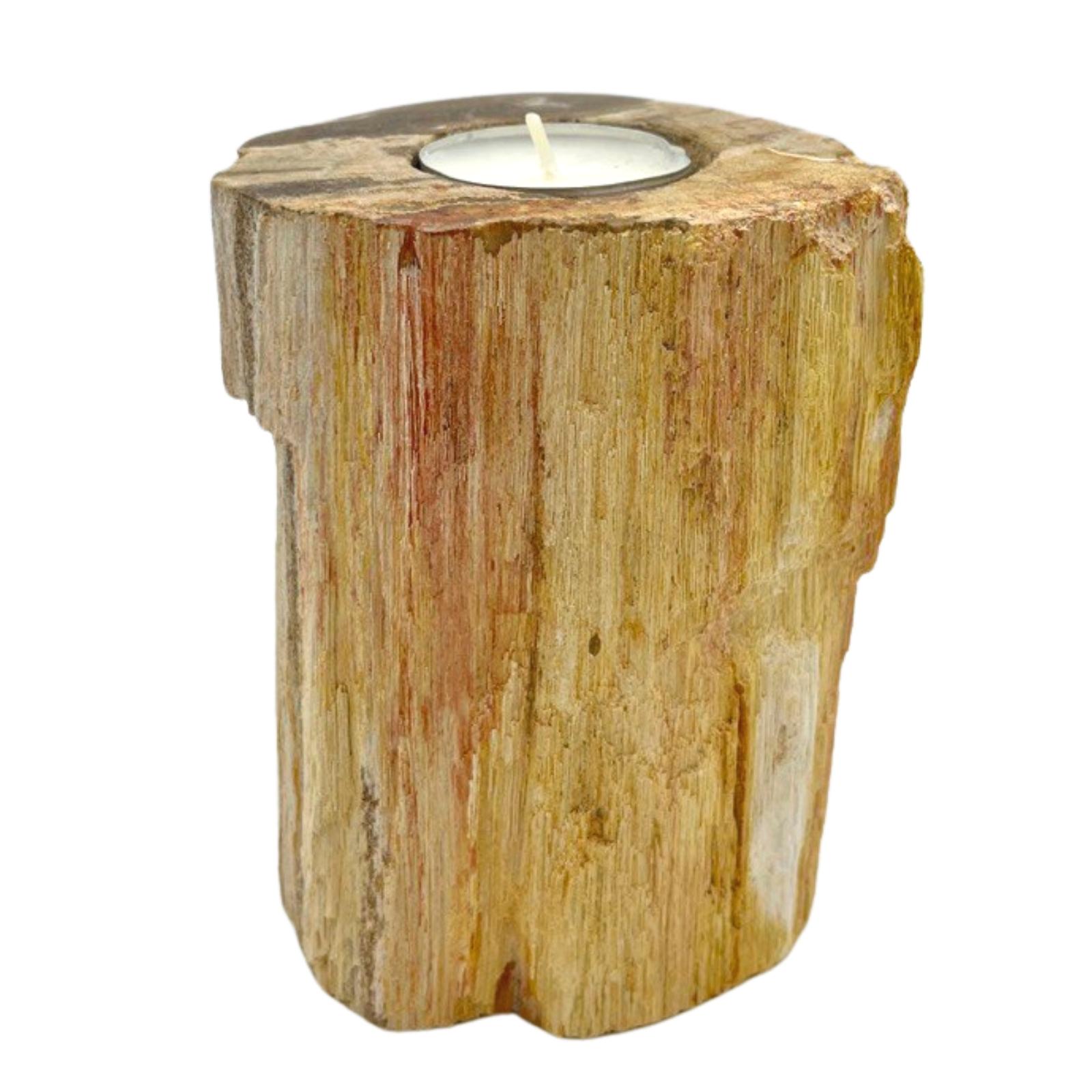 Petrified Wood Candle Holder - Single Tall - PetW-02