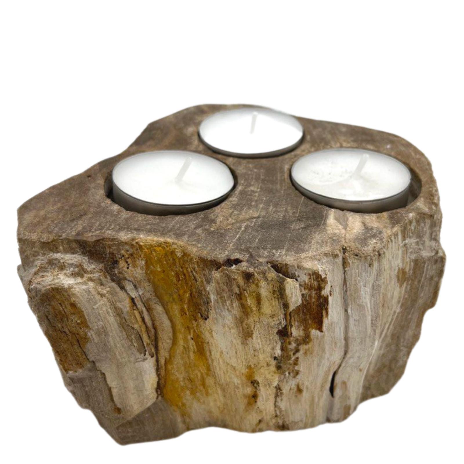 Petrified Wood Candle Holder - Triple - PetW-04
